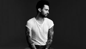 Fan-Awkwardly-Attacks-Adam-Levine-During-Show-FDRMX